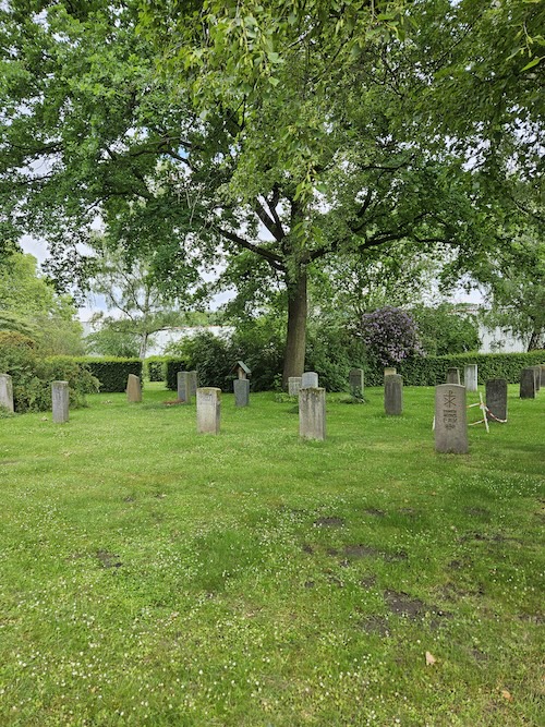 20240528_102833 Der alte Friedhof Limmer
