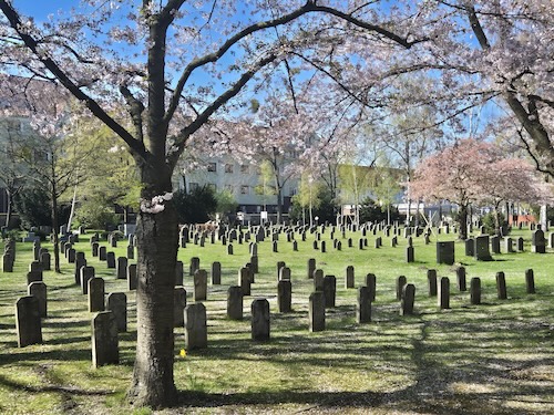 20260409_144127 Friedhof Fössefeld