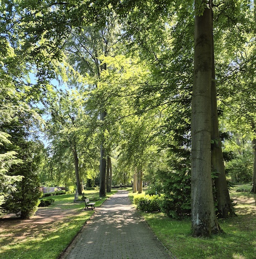 20260525_112306 Stadtteilfriedhof Ahlem