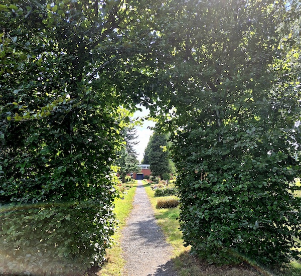 20260820_145628 Friedhof Gehrden bei Hannover