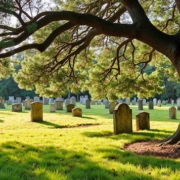 Die Eibe steht als wohl bekannteste unter den Trauerpflanzen für Unsterblichkeit und ewiges Leben.