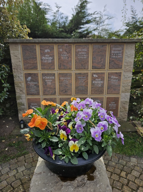 20260418_133011 Stadtteilfriedhof Wettbergen
