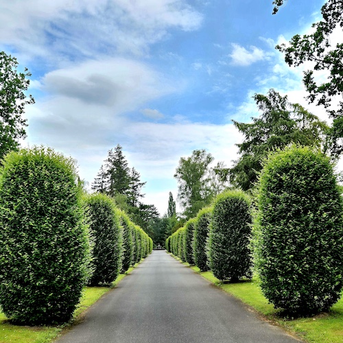 20260616_152844 Stadtfriedhof Ricklingen