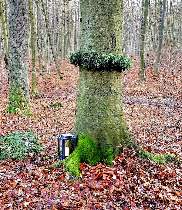 Ruheforst Deister Wennigsen-Bredenbeck