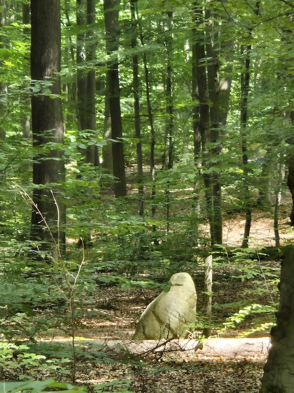 Ruheforst Deister Wennigsen-Bredenbeck