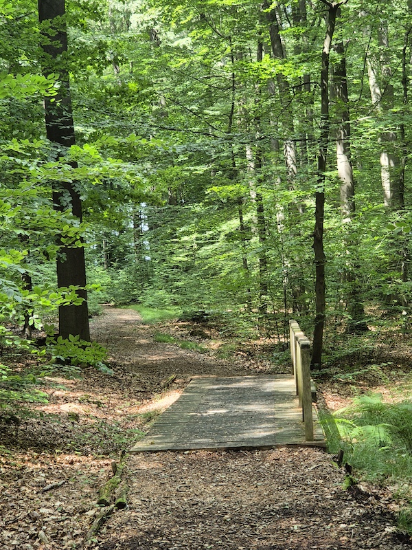 Ruheforst Deister Wennigsen-Bredenbeck