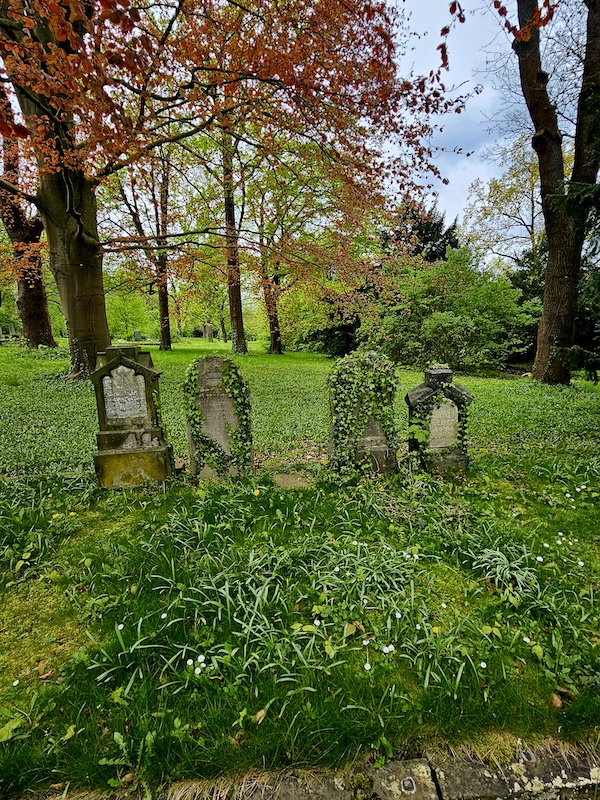 20240420_125459 Lindener Friedhof | Bergfriedhof
