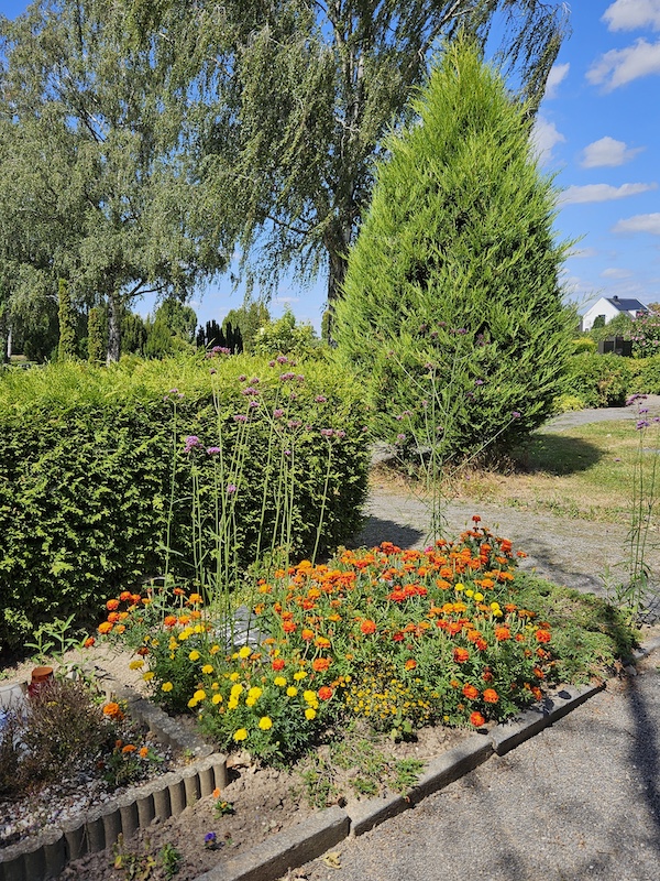 Friedhof Northen in Gehrden