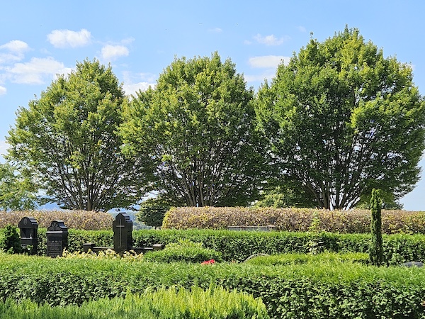 Friedhof Northen in Gehrden